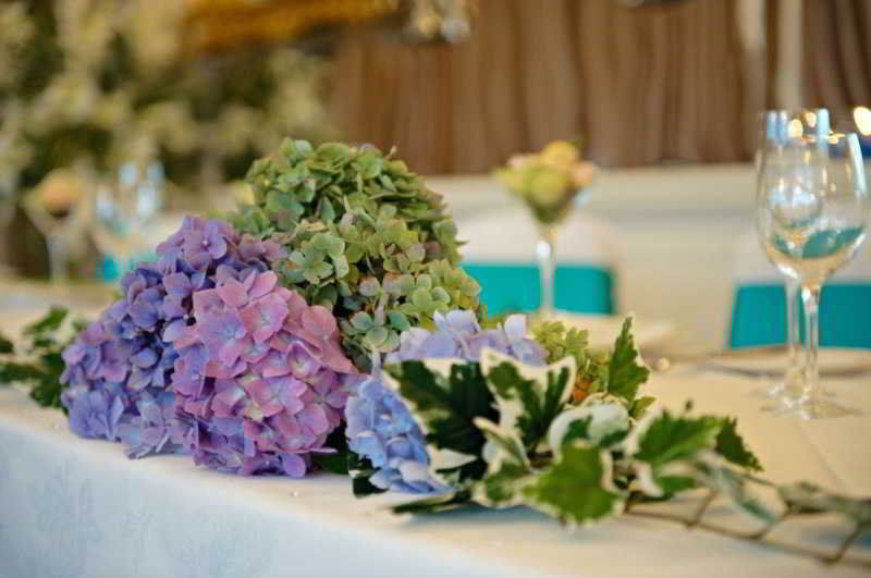 Moorland Garden Hotel Yelverton Eksteriør bilde